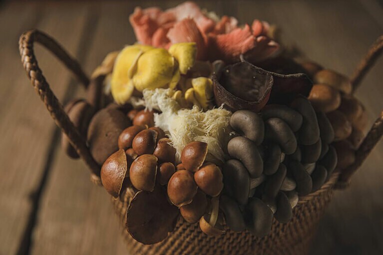 脇役になりがちなきのこを主役に。