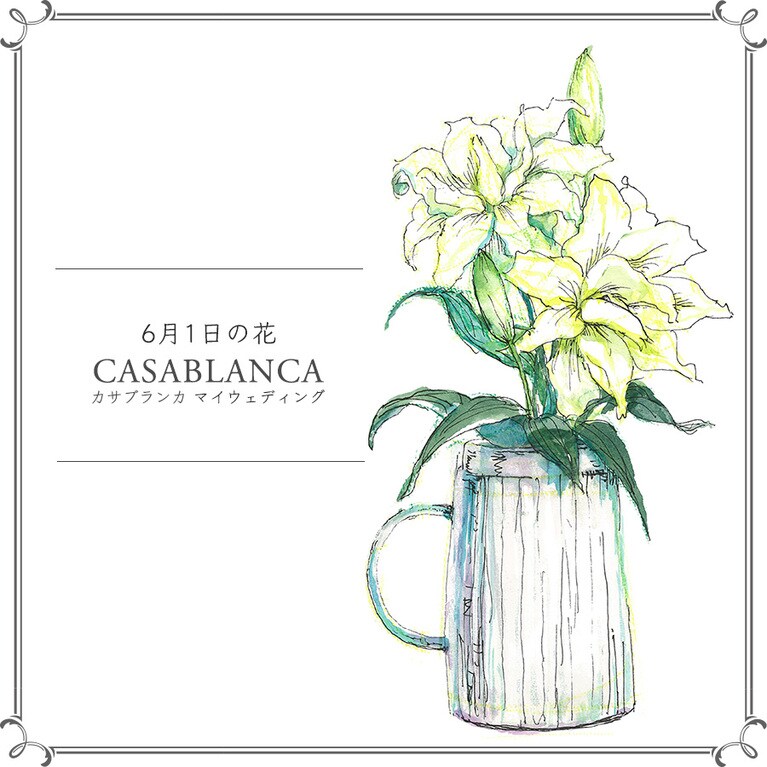 【6月1日の花】カサブランカ「マイウェディング」