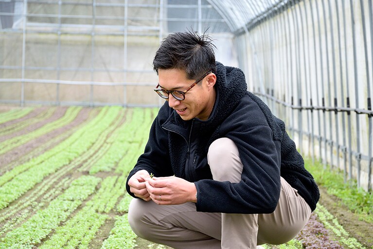我が子を愛おしむような眼差しを野菜たちに注ぐ山田誠さん。