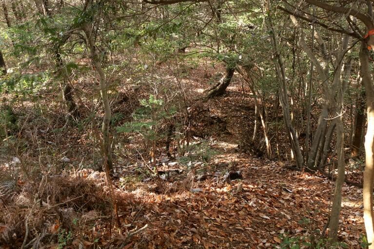 浅いが明らかな堀切に土橋が架かる