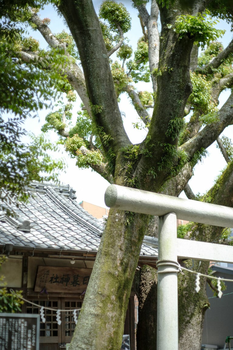 頼朝が八重姫と密会するため日暮れを待ったとされる場所にある「日暮神社」。