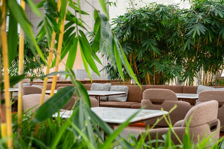 ピークラウンジ。