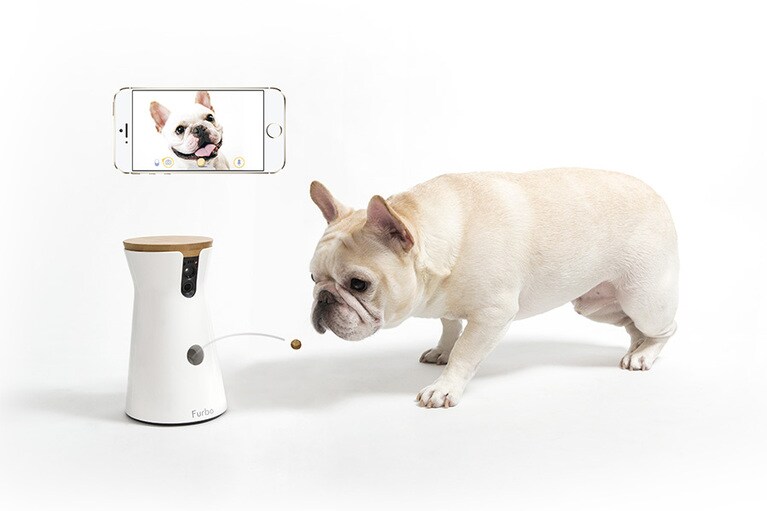 Tomofun「New Furbo」オープン価格(実勢価格約2万円／税抜)