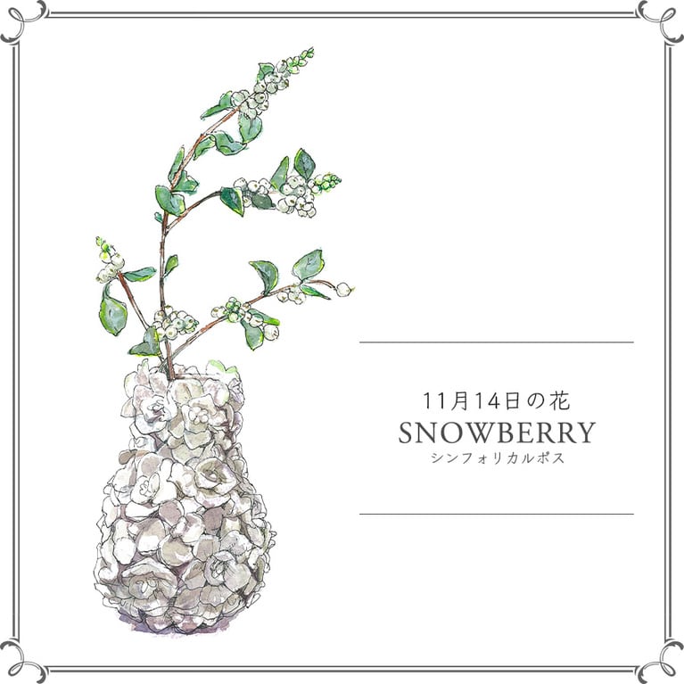 11月14日の花「シンフォリカルポス」