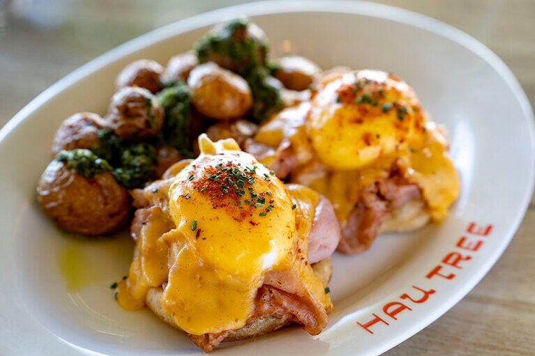 ハウツリーエッグベネディクト 26ドル。添えられたクリスピーポテトも美味。