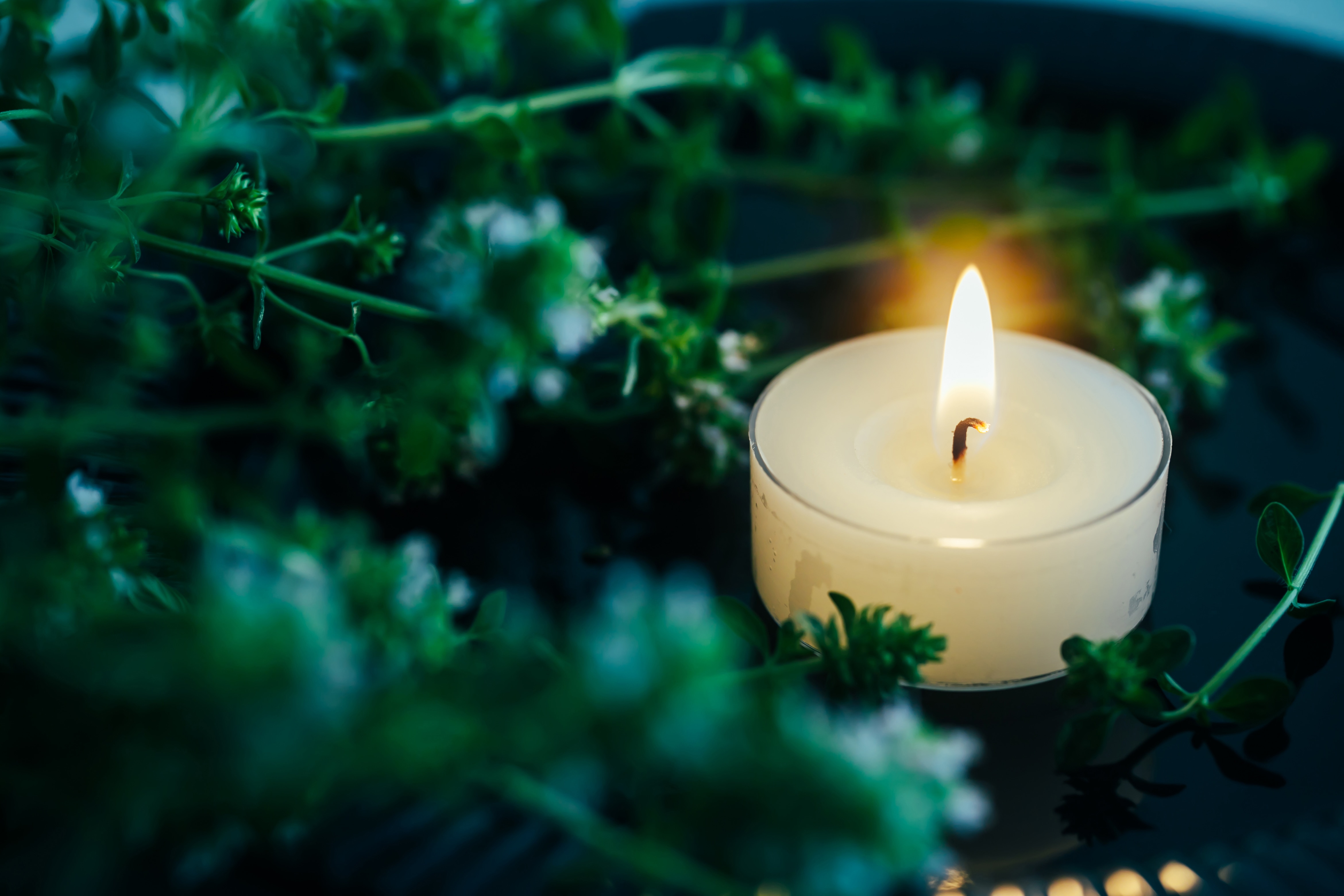 ©shironagasukujira/イメージマート