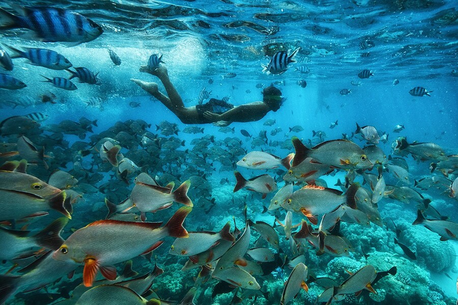 ランギロア環礁で写したサンゴ礁の魚たちと若いシュノーケラーの姿。人間の幸福が海洋の健康とどのように密接に絡み合っているかを伝える1枚。© Cristina Mittermeier