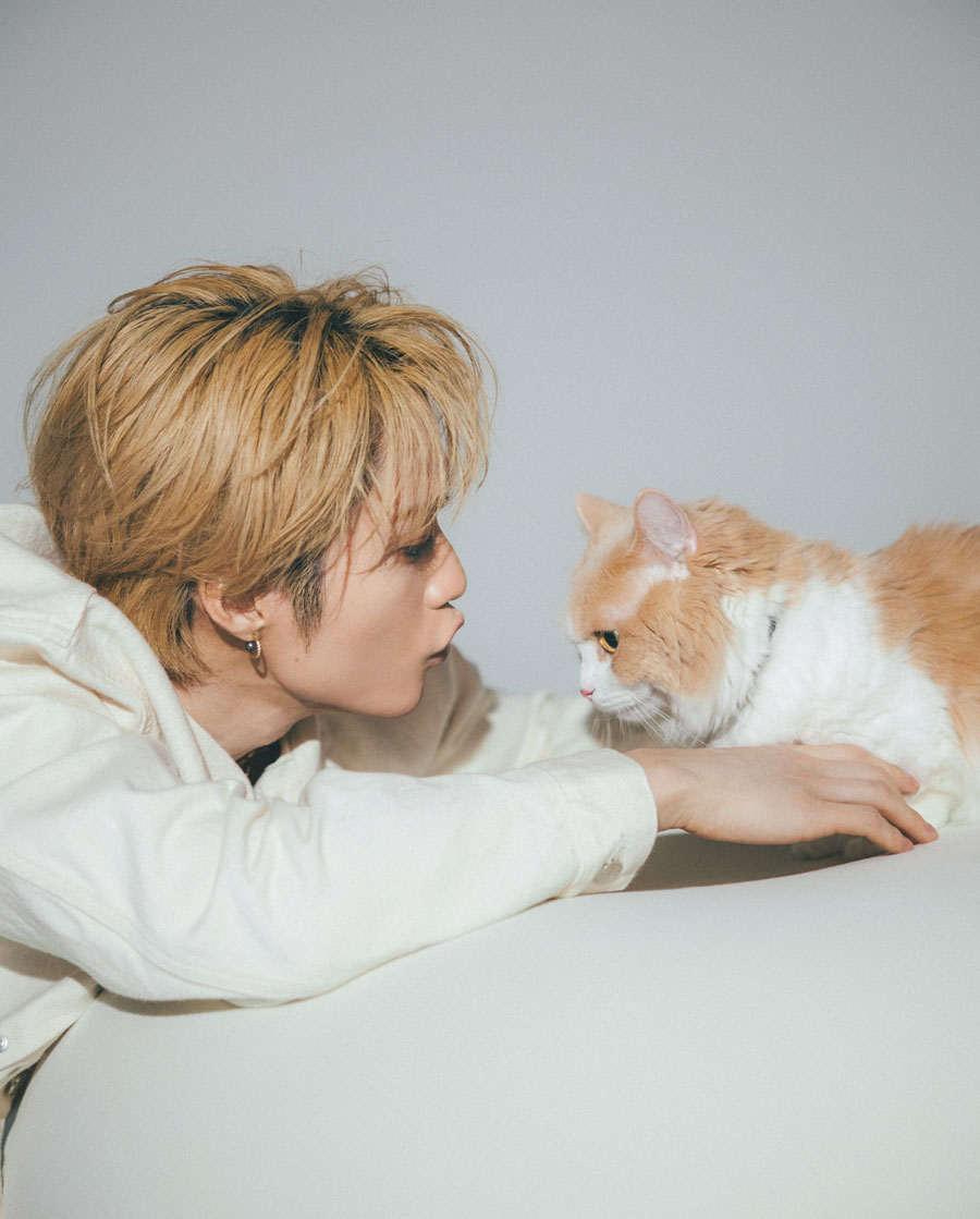 ソファは3台買い替えた。飲みの誘いも断る！」猫を愛する故に藤原樹が