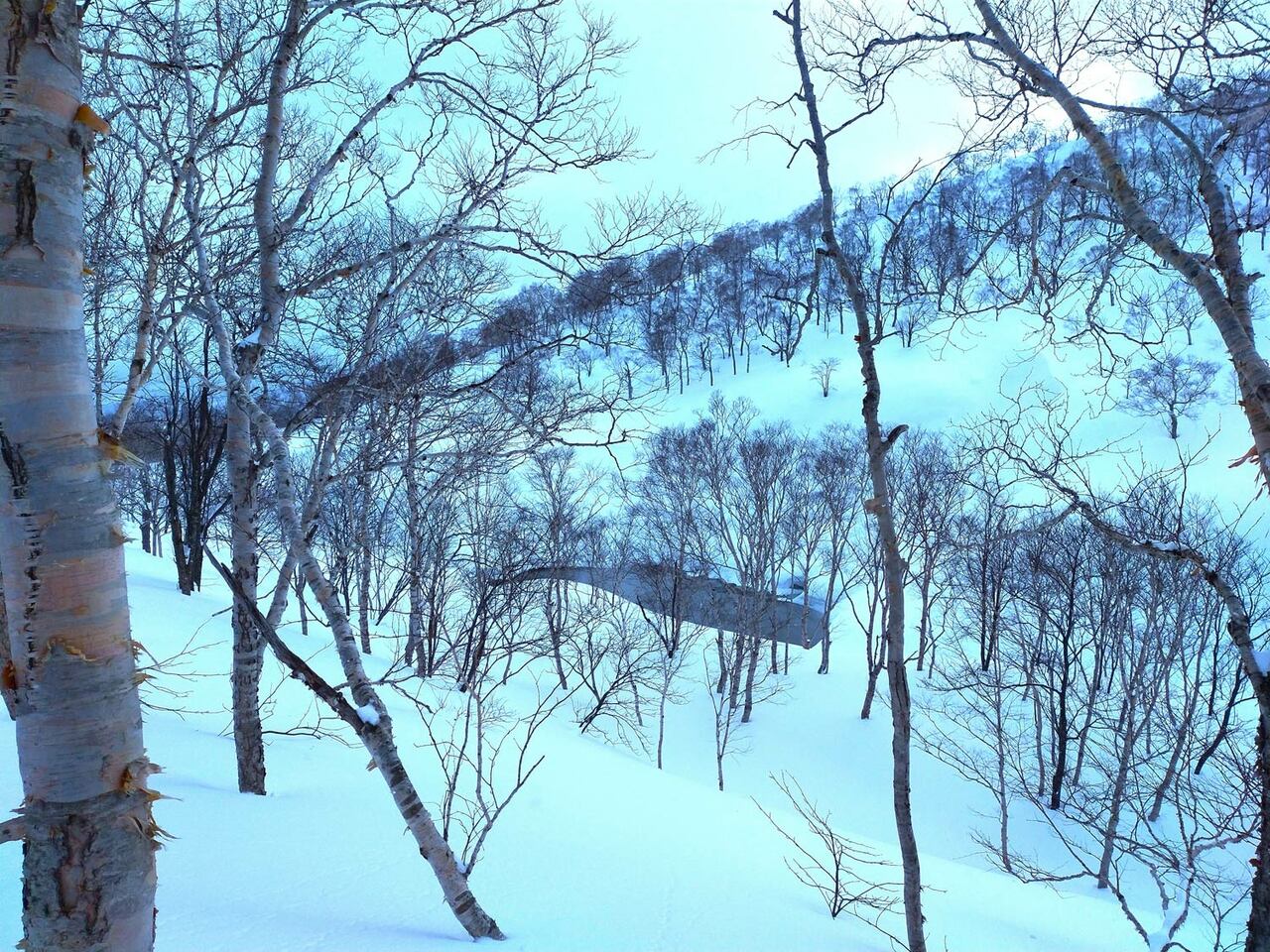 林の向こうの雪原の窪地に小湯沼が見えた
