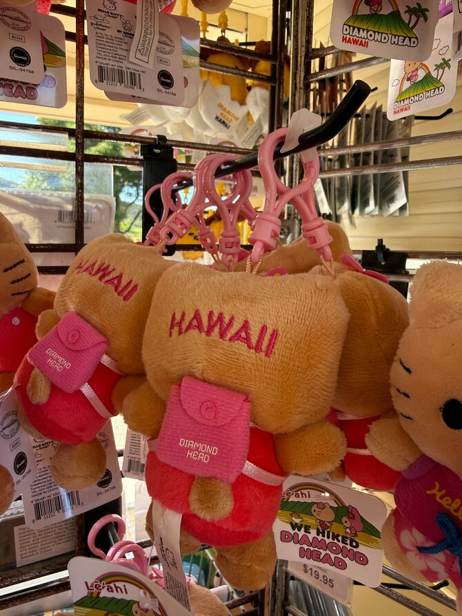 ハワイ通も驚くレア土産】ダイヤモンドヘッド限定「日焼けキティ」が