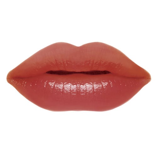 1位：キャンメイク メルティールミナスルージュ(ティントタイプ) T04 スウィートガナッシュ 800円／井田ラボラトリーズ。