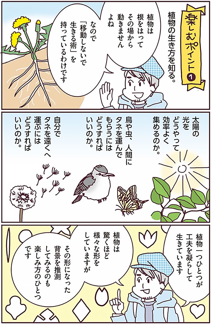『まちなか植物観察のススメ』より。