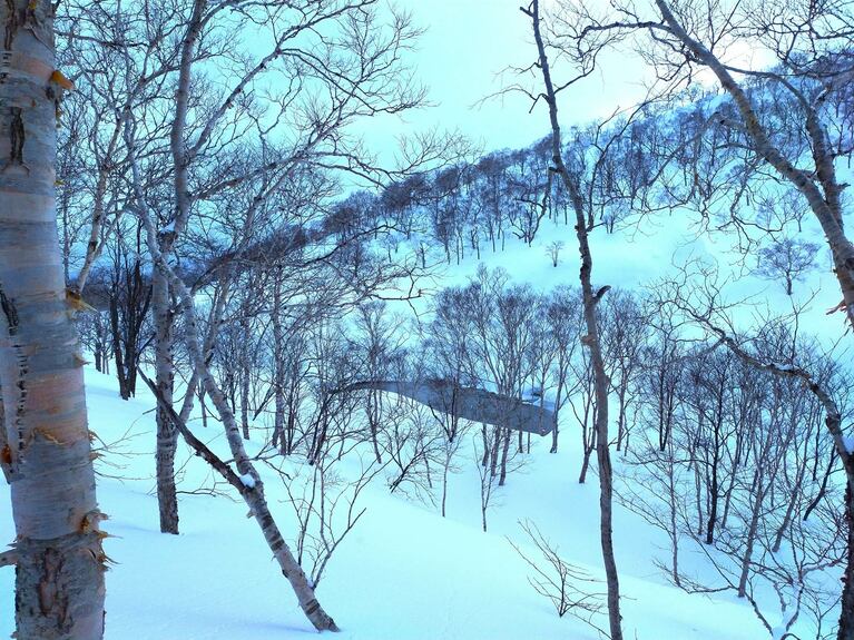 林の向こうの雪原の窪地に小湯沼が見えた