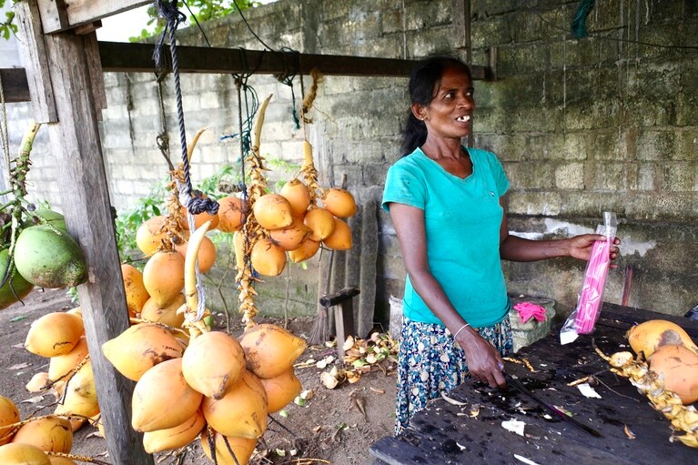 ロードサイドでよく見かけるキングココナッツの売店。