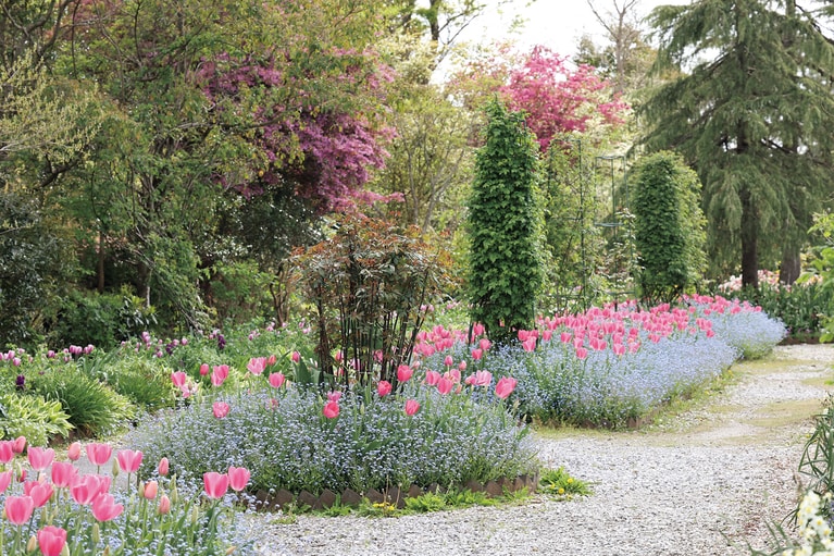 季節ごとに異なる花が次々と咲き誇る「花の庭」。3月にはチューリップなどが見頃を迎える。