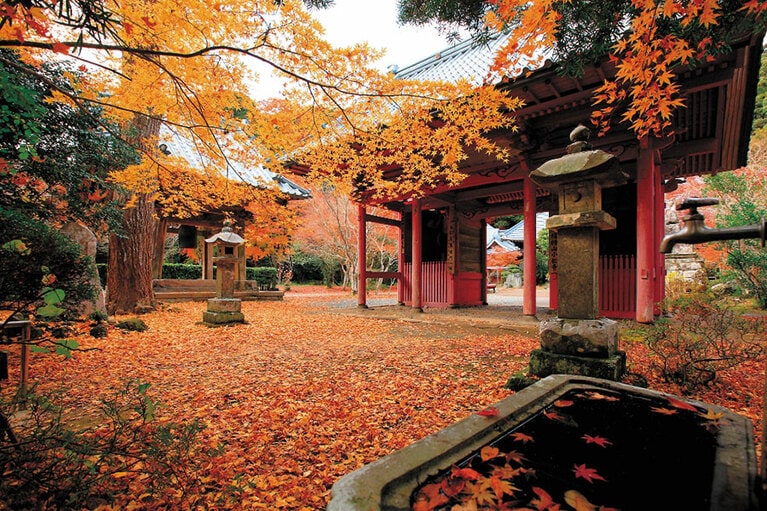 小松寺の紅葉。