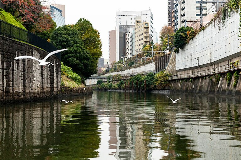 日本橋川から、渓谷囲む神田川へ。