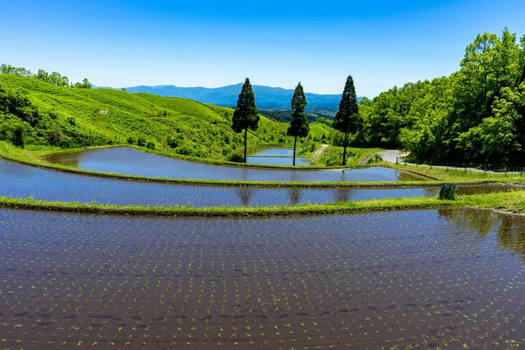 扇棚田／熊本県