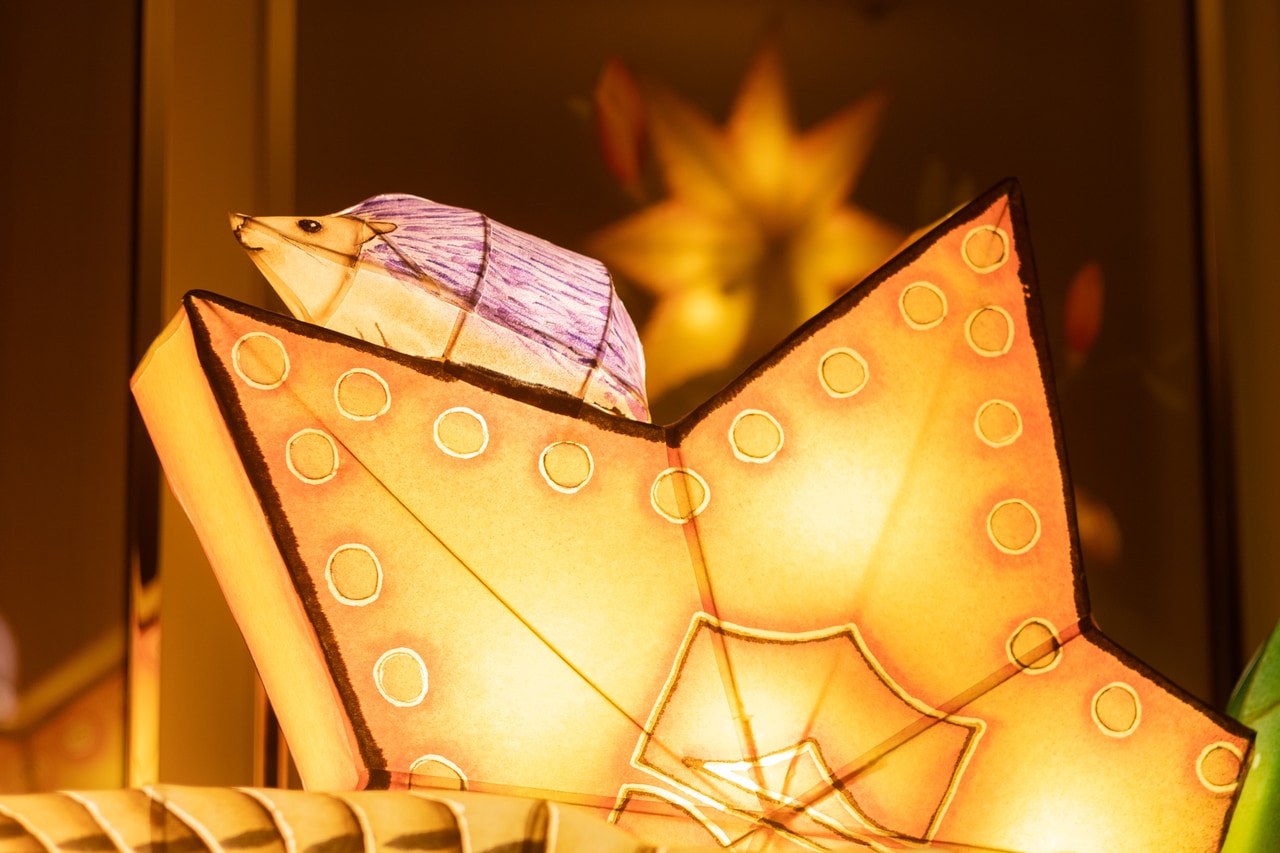 ハリネズミさんはのんびりと。