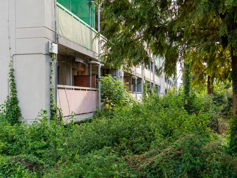 画像はイメージです。写真：Batsuamaru_Photo/イメージマート