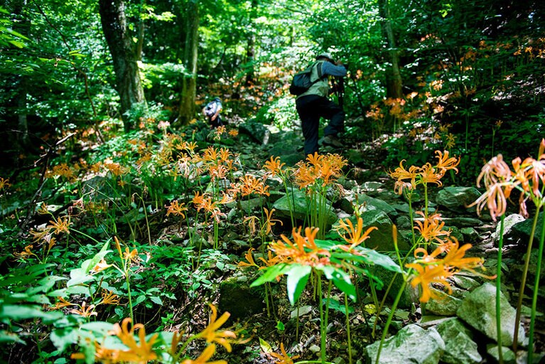 多良岳トレッキング。