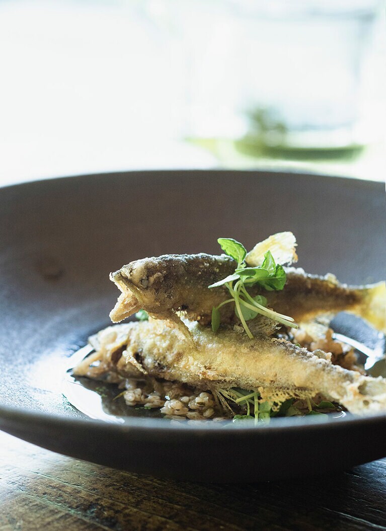 八ヶ岳で栽培される米、“亀の尾”の上には鈴木シェフの出身地・長野県飯田市の天龍川の水で養殖している天龍鮎のフリットを。山梨と長野、2つのテロワールを表現。