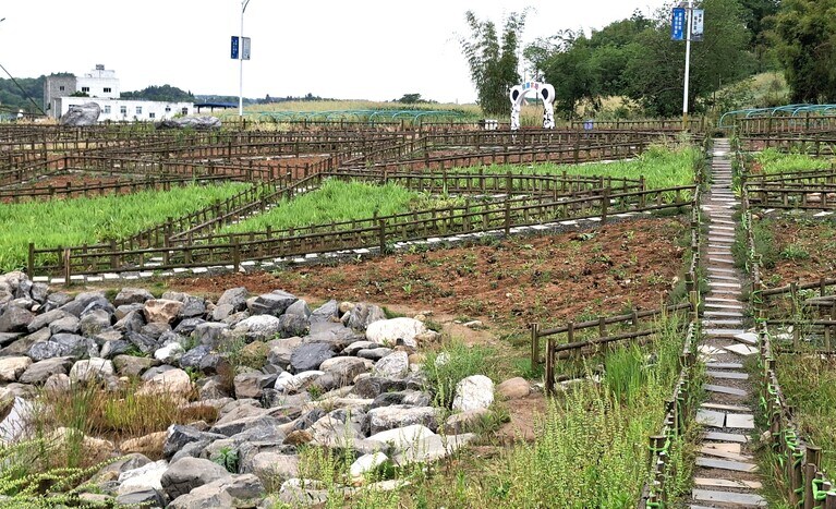 北川パンダ動植物園からの帰り道。パンダのゲートを目指して歩いた。（筆者撮影）