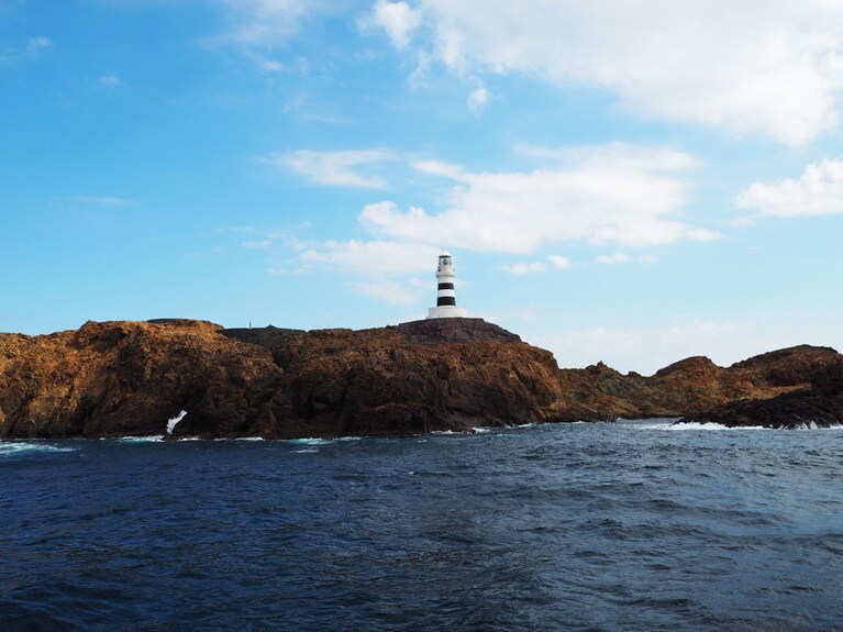 この地で100年以上、伊豆の海を照らしています。