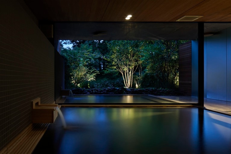 夜の静けさのなか、森に住む生き物たちの声に耳を傾けて。