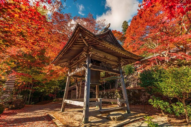 天開山泰運寺。