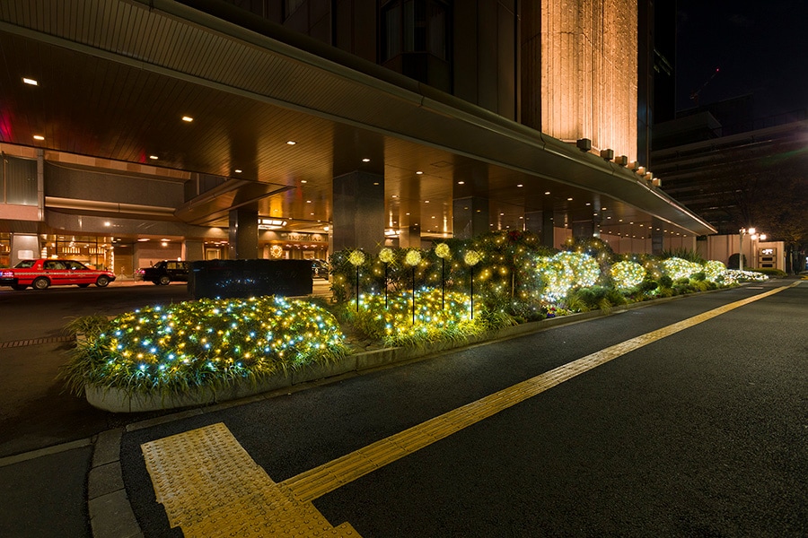 植栽のイルミネーション。※画像はイメージ。