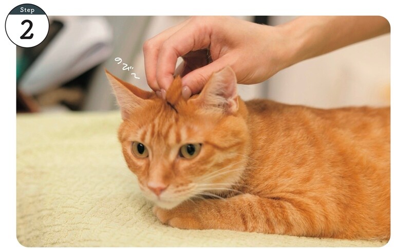 使用するツボ：玉沈。