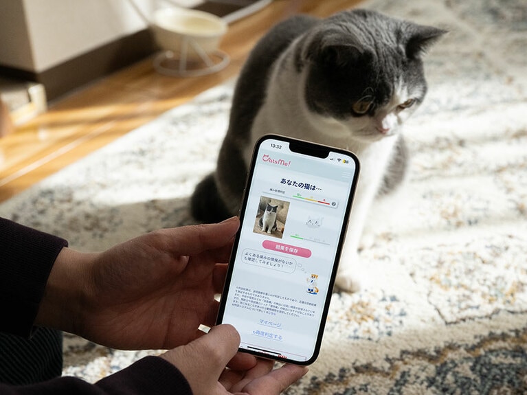 Carelogy 猫の痛み検知AI「CatsMe!」