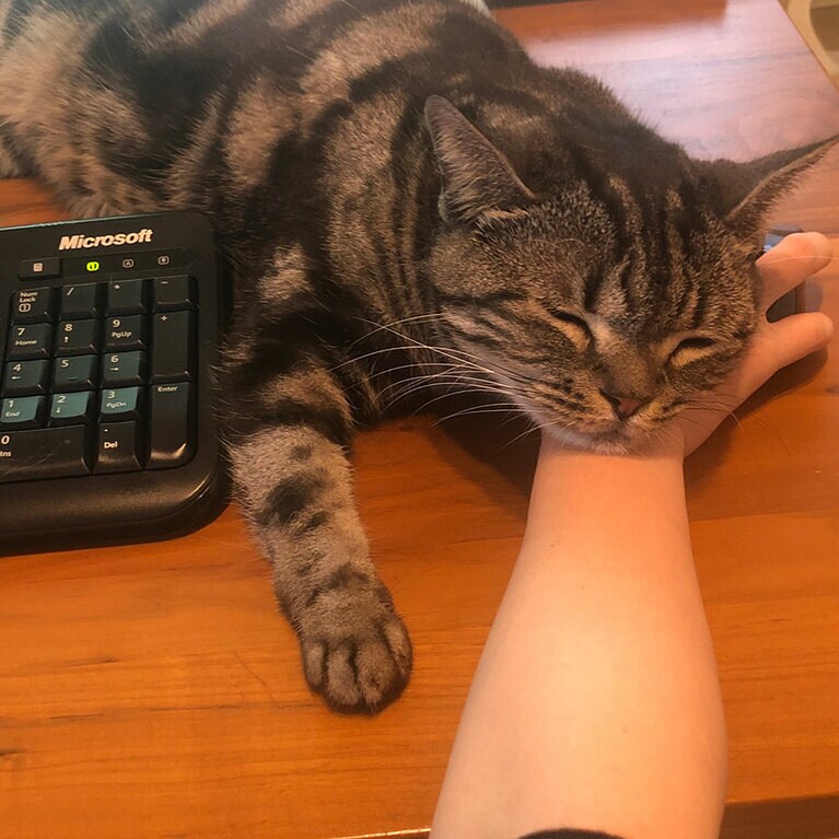 パトー ♂ 10歳。