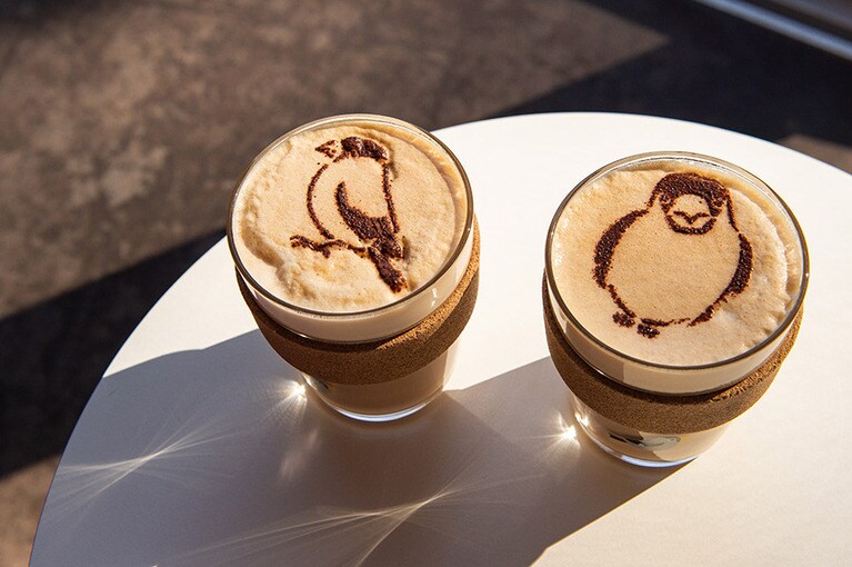 イカルがポイントのカフェラテを飲みながら、ほっと一息。