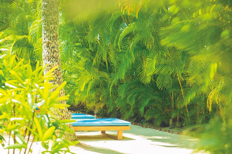 スパの外のガーデンでシャンパンなどを注文できる。