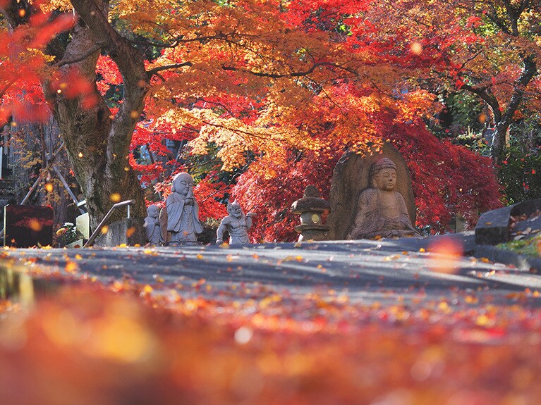 【茨城県】永源寺の紅葉。