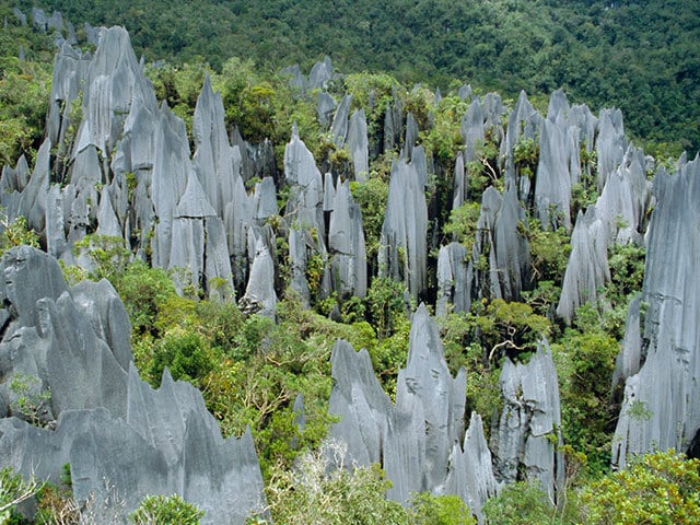 鋭利なナイフのごとき岩が林立する ボルネオ島奥地に隠された絶景
