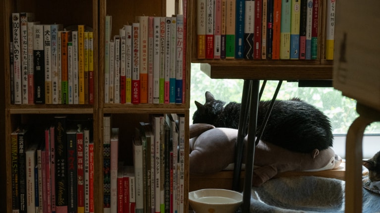 窓際でぽかぽか。