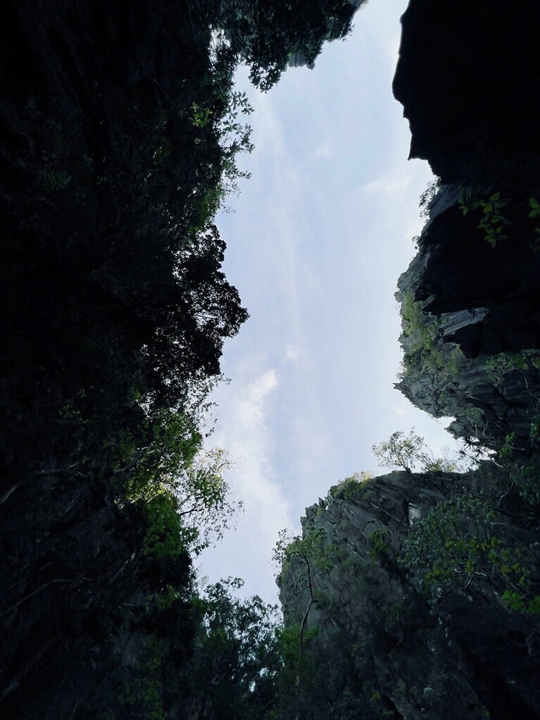 見上げると岩山の隙間に分け入っていることがわかる。