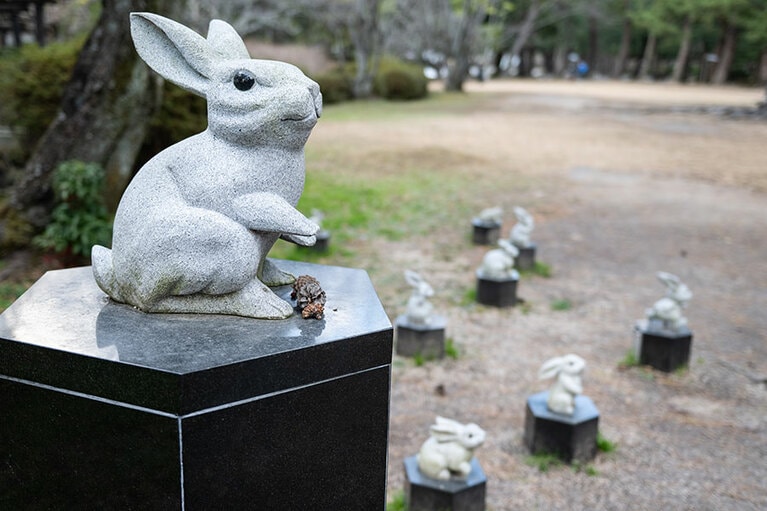 木の実を食べているような表情が愛らしい。