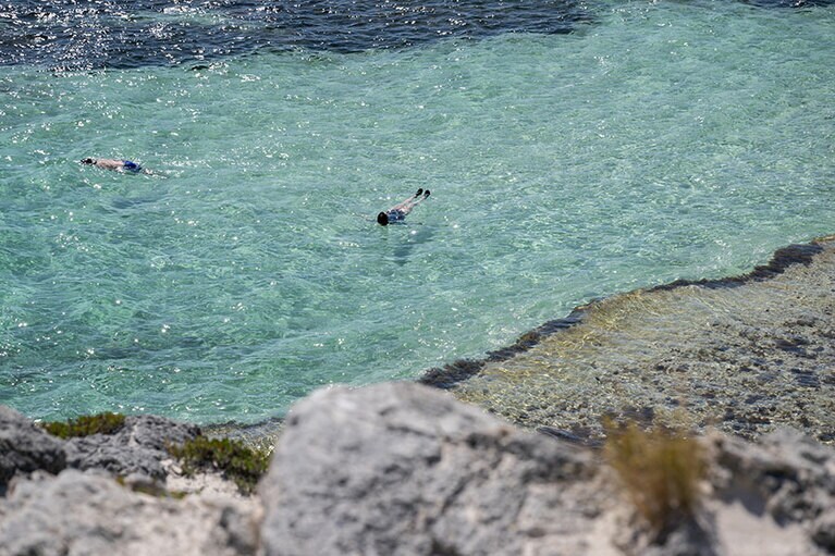 シュノーケリングも。