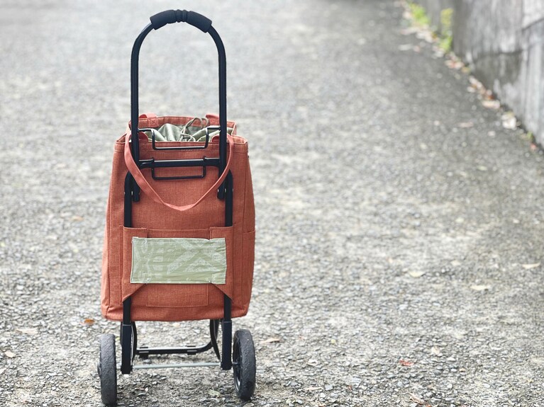 画像はイメージです。写真：moonmoon/イメージマート