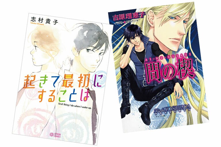 左：志村貴子 初のBLコミックス。『起きて最初にすることは』／リブレ 702円 全1巻 
右：「たしなんでいた名作のひとつ」志村。『間の楔』／徳間書店 586～692円 全6巻