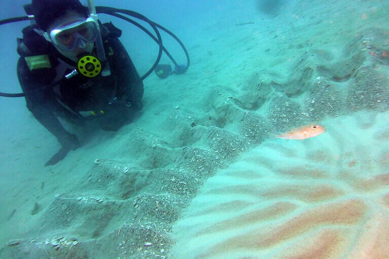 春から夏の、満月近くに美しいミステリーサークルを描くアマミホシゾラフグ。この魚は2015年「世界の新種トップ10」に選ばれたそう。
