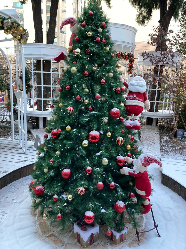 クリスマス前だったので、庭にはツリーが。