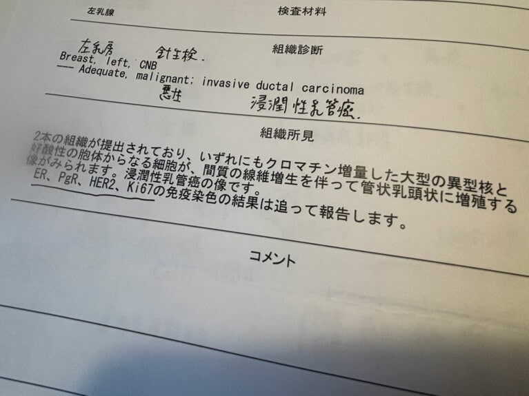 針生検の結果、担当医が専門用語を訳しながら説明してくれた。