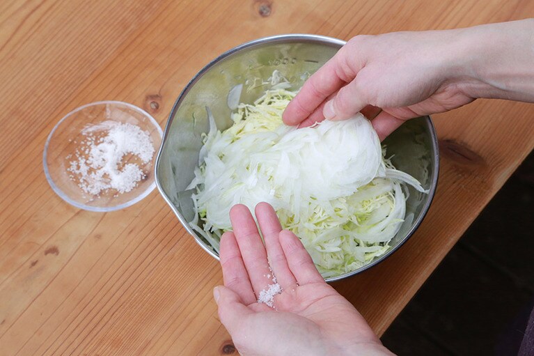 【キャベツと新玉ねぎのピリ辛ゴマソースあえの材料】キャベツと玉ねぎの千切りに塩をふたつまみ加えてなじませておく。