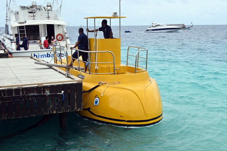 半潜水艦ツアーは子供からお年寄りまで楽しめます。