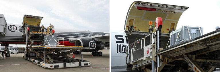 貨物機に搭載。左の写真はシンシン、右の写真はリーリー。（公益財団法人東京動物園協会提供）